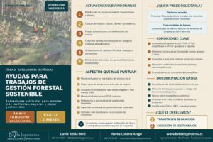 Ayudas forestales 2026 Comunitat Valenciana | Belda Ingenieros