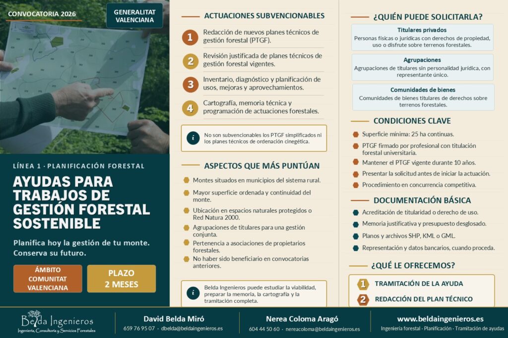 Ayudas forestales 2026 Comunitat Valenciana | Belda Ingenieros