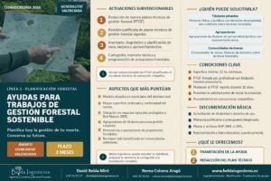 Ayudas forestales 2026 Comunitat Valenciana | Belda Ingenieros